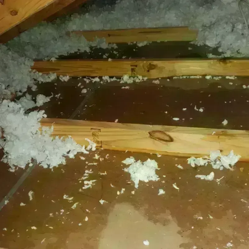 Attic Water Damage in Scott County, KS