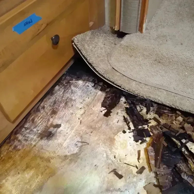 Wood Floor Water Damage in Scott County, KS